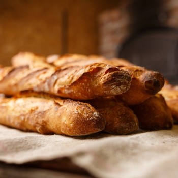 The best robust bread